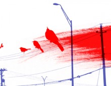 Birds Eye View. Tattoo Design. 2012