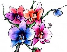 Floral Tattoo Design. Ink and Watercolour on Paper. 2009.